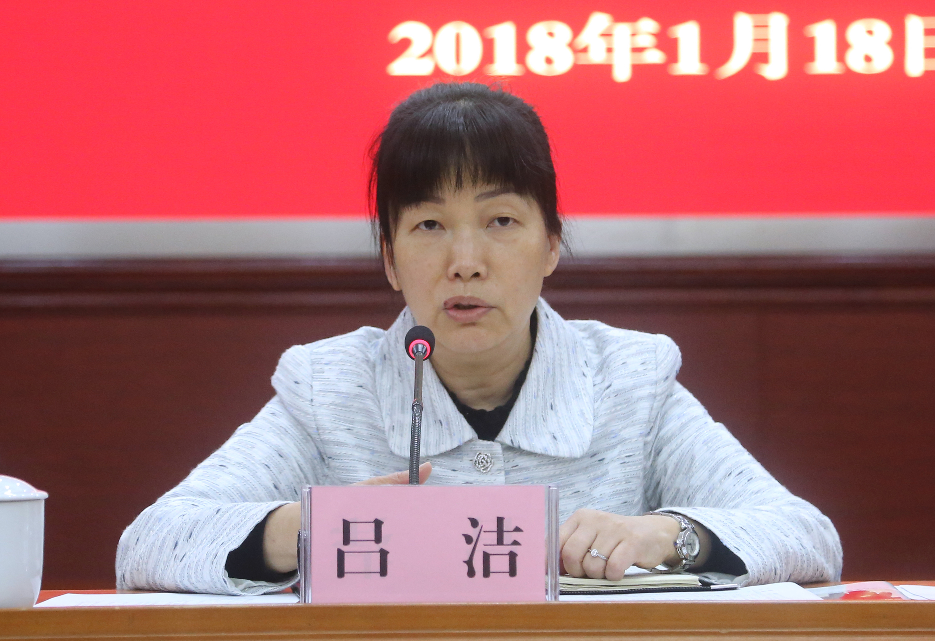 自治区新闻出版广电局副局长吕洁在广电组作总结发言
